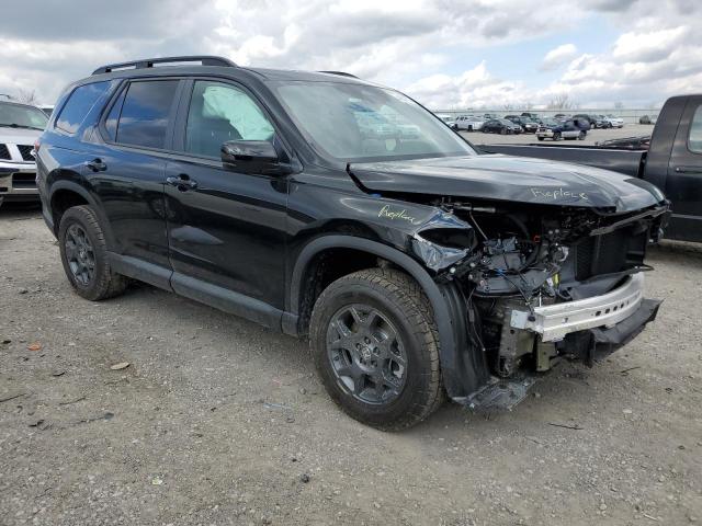 2024 HONDA PILOT TRAI 5FNYG1H64RB040884