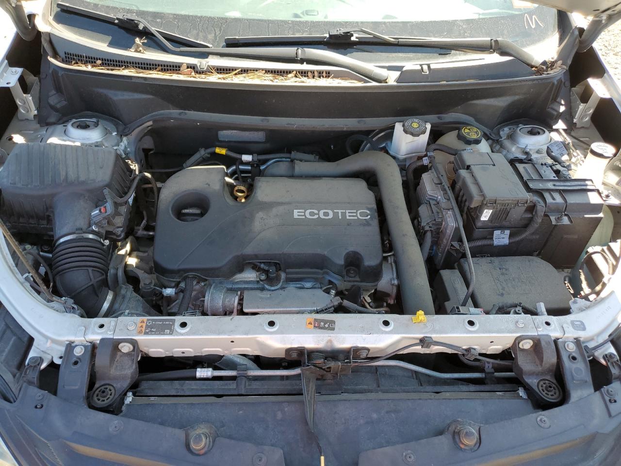 3GNAXUEV0KS652504 2019 Chevrolet Equinox Lt