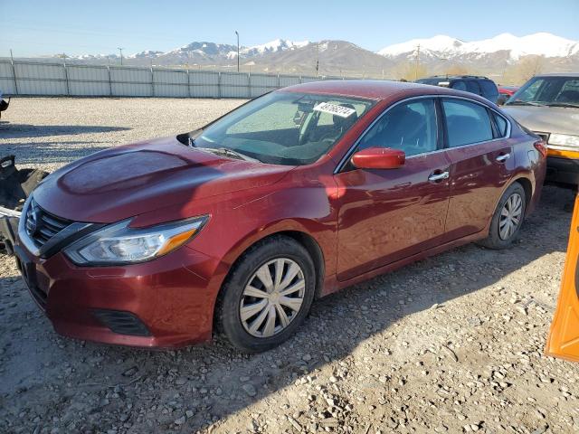 2016 Nissan Altima 2.5 VIN: 1N4AL3AP7GC196624 Lot: 49766274