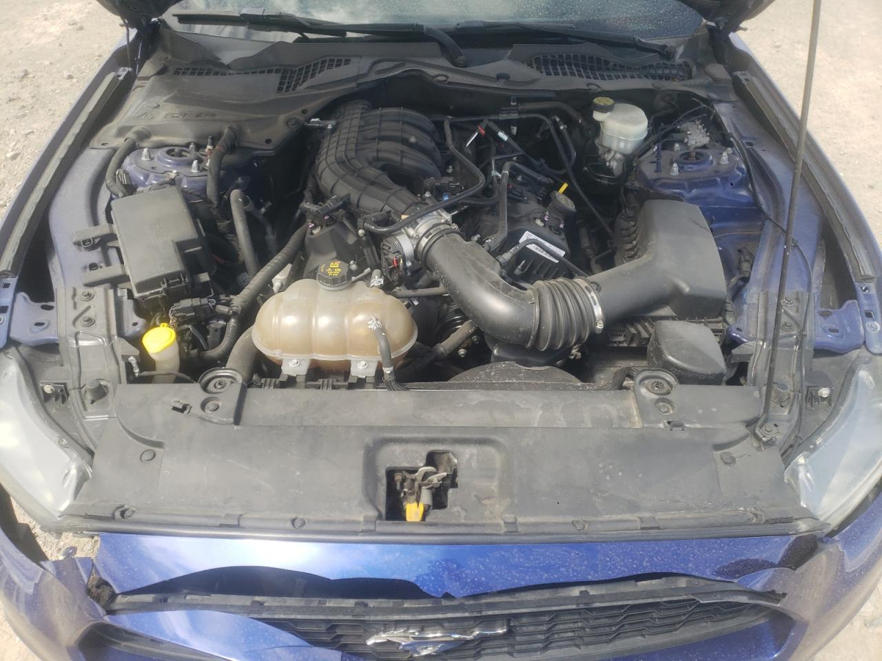 1FA6P8AM1G5336894 FORD ALL Models 2016