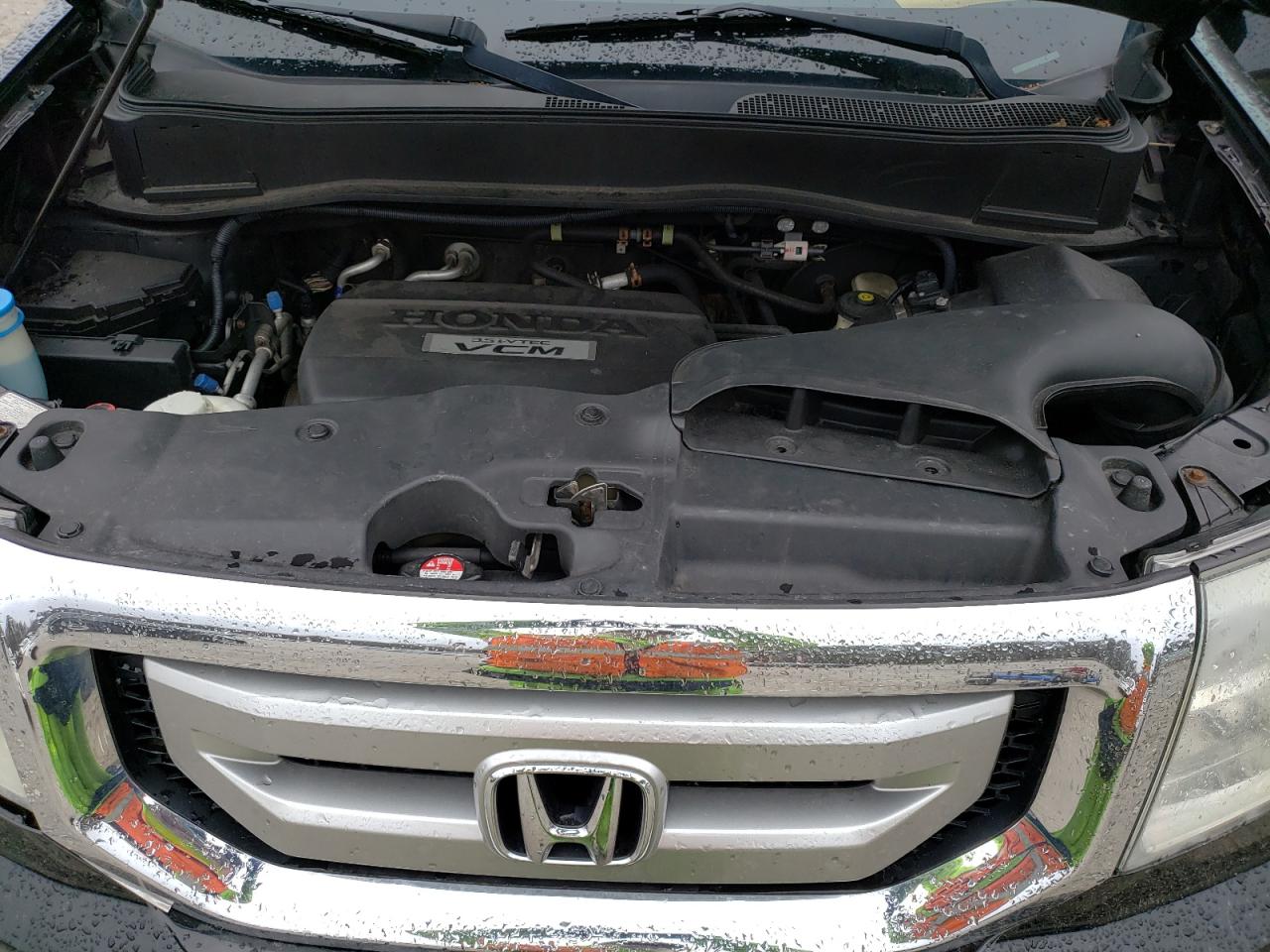 5FNYF485X9B045566 2009 Honda Pilot Exl