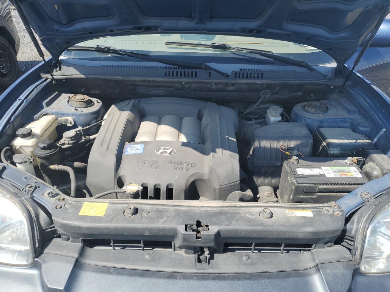 KM8SC13D36U098216 2006 Hyundai Santa Fe Gls