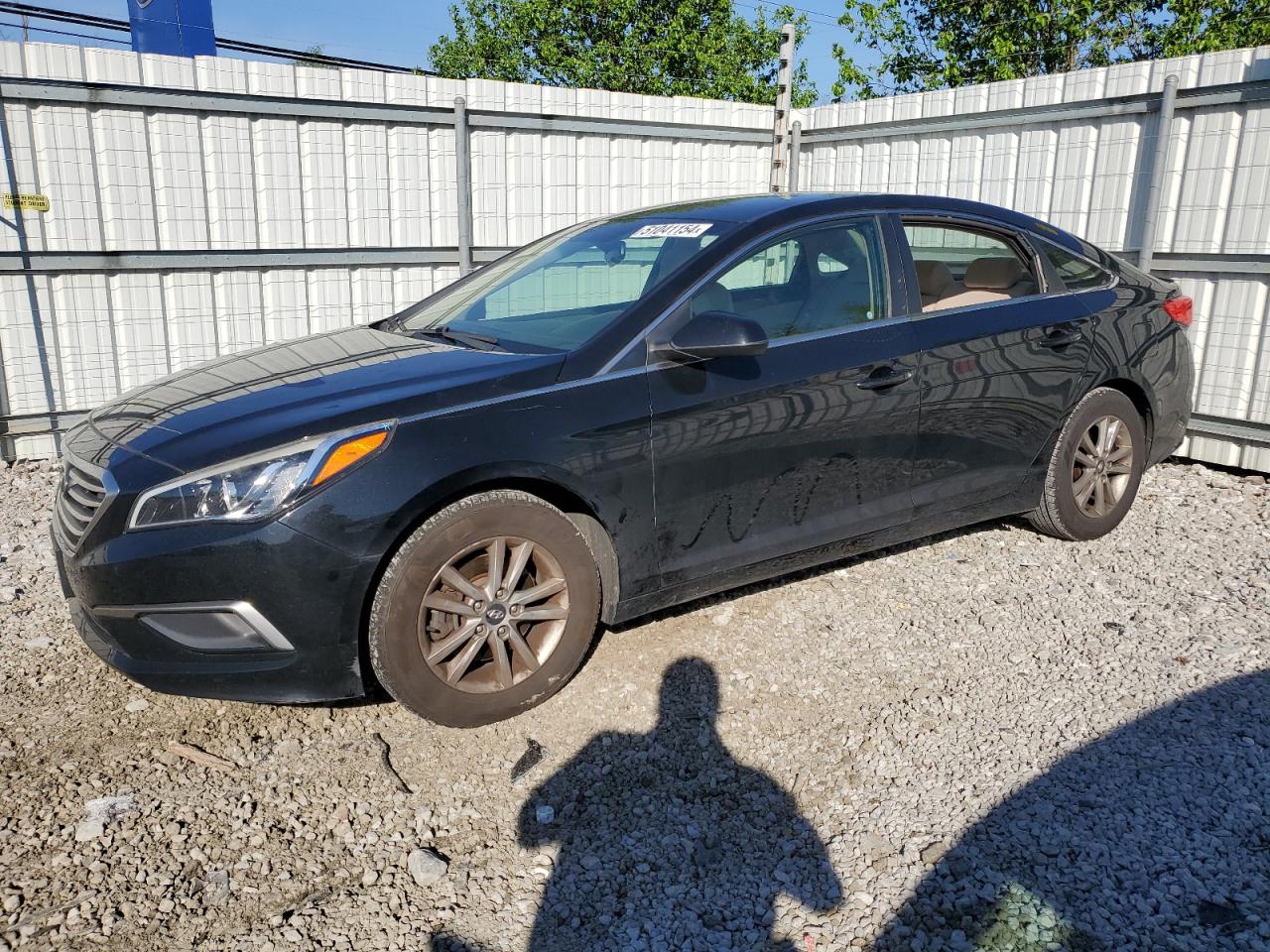 5NPE24AF5GH311883 2016 Hyundai Sonata Se