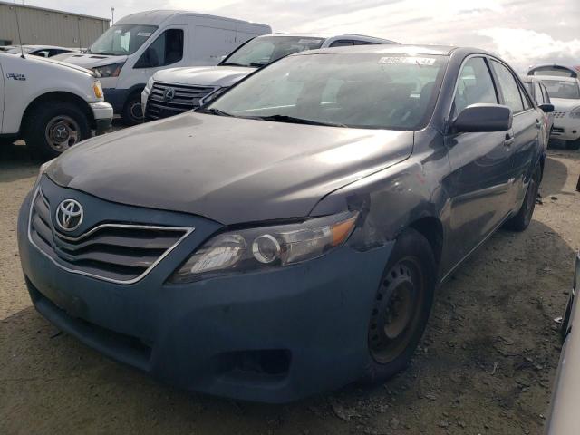 Lot #2506066064 2010 TOYOTA CAMRY BASE salvage car