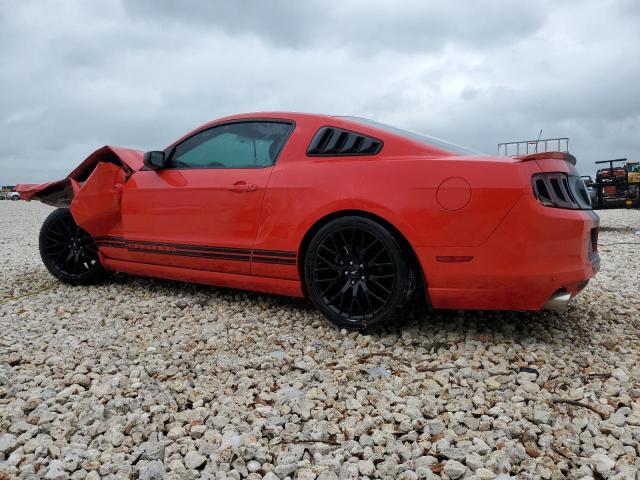 2013 Ford Mustang VIN: 1ZVBP8AM7D5247168 Lot: 50163394