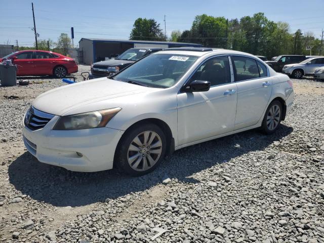 Lot #2477370445 2011 HONDA ACCORD EXL salvage car