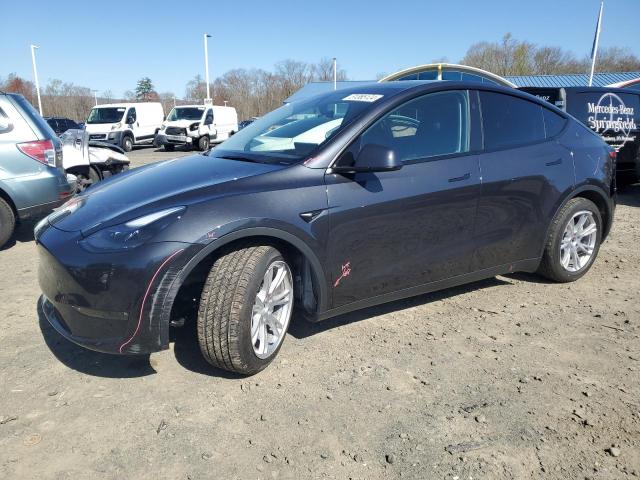 2024 Tesla Model Y VIN: 7SAYGDEEXRF034197 Lot: 51365124