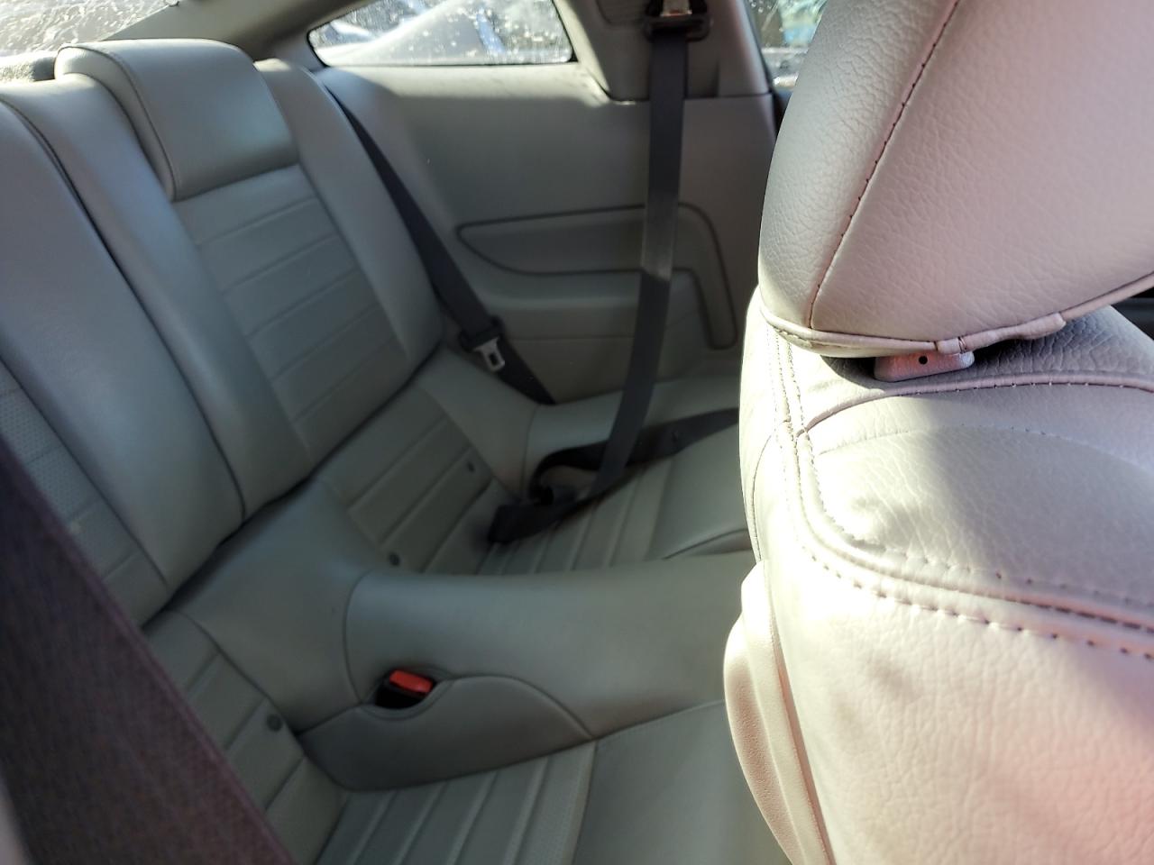 1ZVFT82H765198877 2006 Ford Mustang Gt