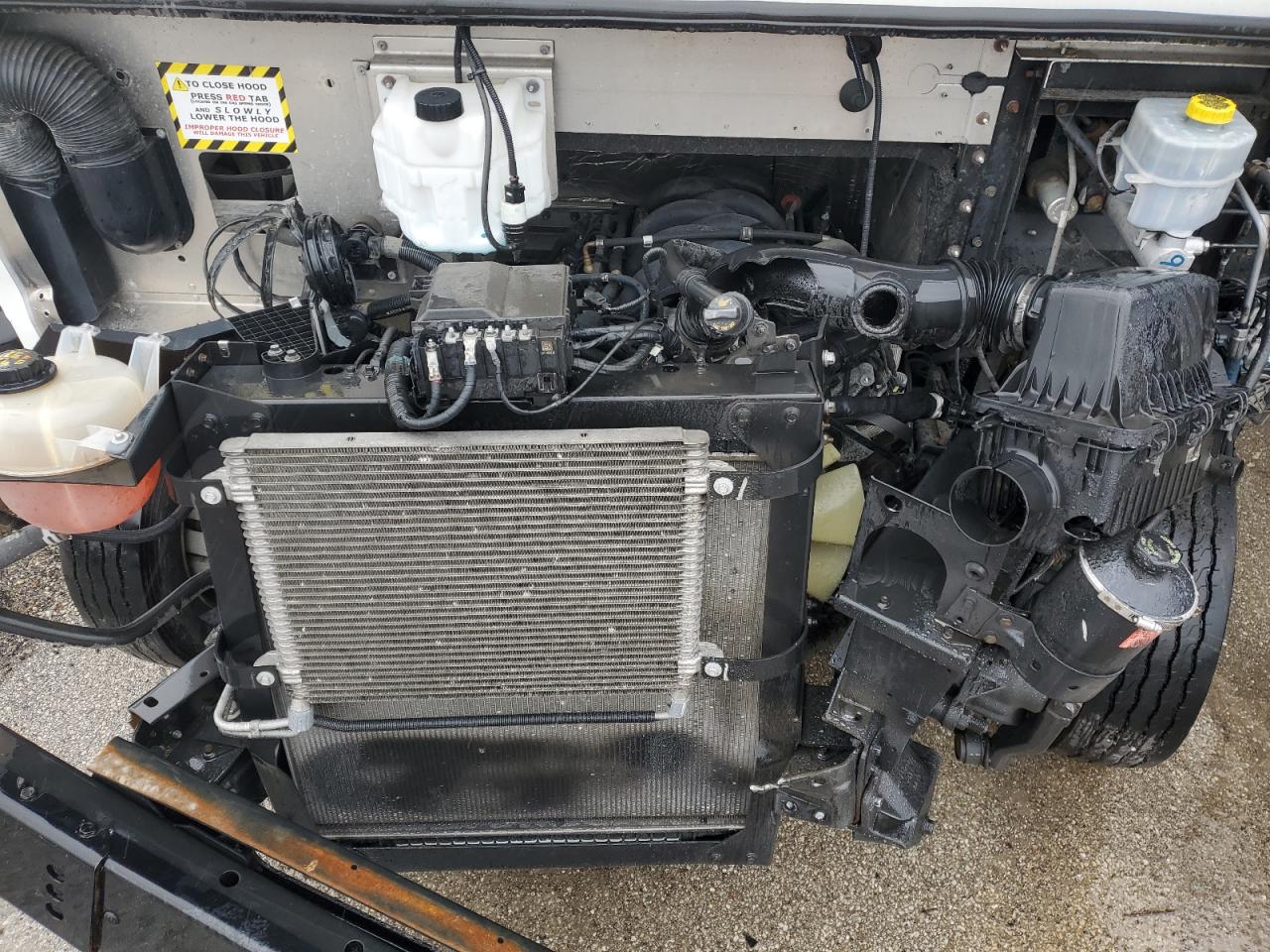 1F65F5KN8L0A11216 FORD All Models 2020
