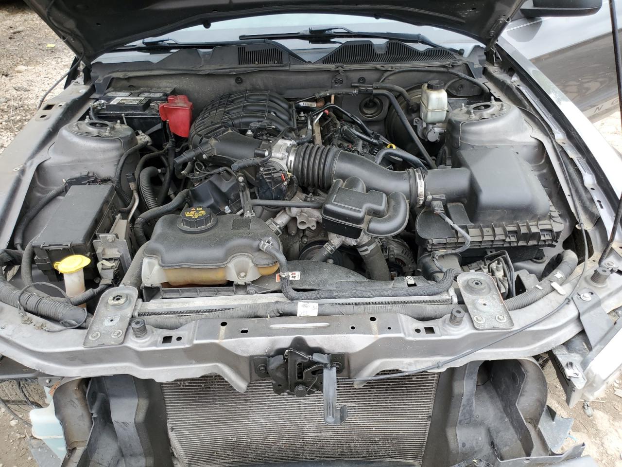 1ZVBP8AM4B5166299 2011 Ford Mustang