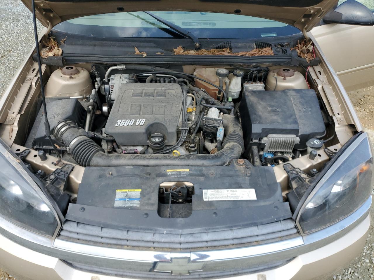 1G1ZT548X5F196036 2005 Chevrolet Malibu Ls