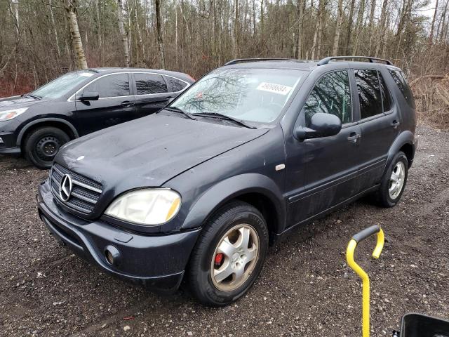 2000 Mercedes-Benz Ml 55 VIN: 4JGAB74E2YA176790 Lot: 49098684