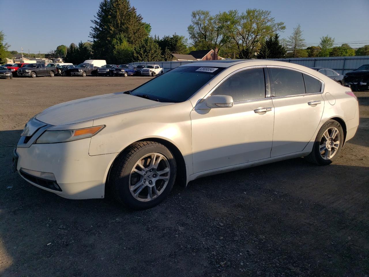 19UUA8F51AA006368 2010 Acura Tl