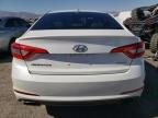 HYUNDAI SONATA SPO photo