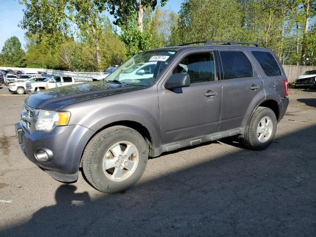 2011 Ford Escape Xlt VIN: 1FMCU9D78BKA62536 Lot: 51629714