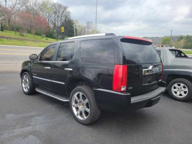 1GYUKBEF0AR136091 | 2010 Cadillac escalade luxury