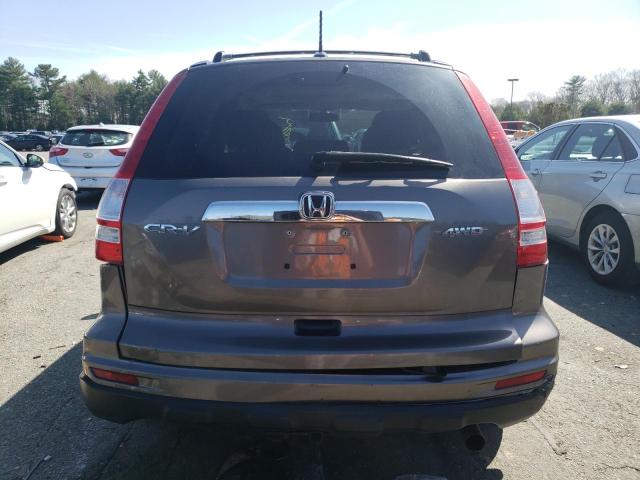 2010 Honda Cr-V Exl VIN: 5J6RE4H79AL049743 Lot: 49788774