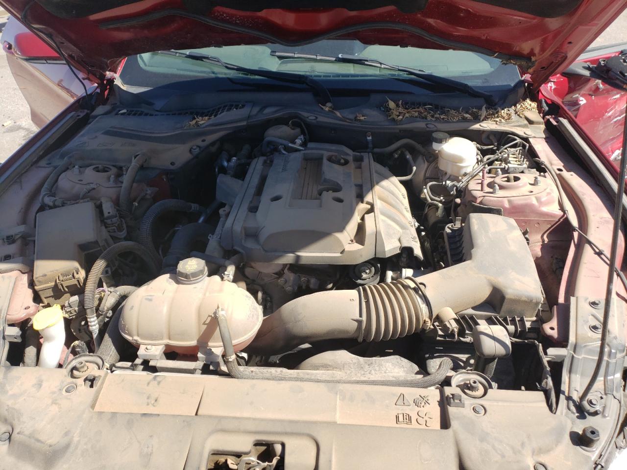1FA6P8THXK5134788 FORD ALL Models 2019
