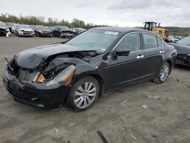 Lot #2508051997 2011 HONDA ACCORD EXL salvage car