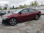 2016 NISSAN MAXIMA 3.5 - 1N4AA6AP8GC408194