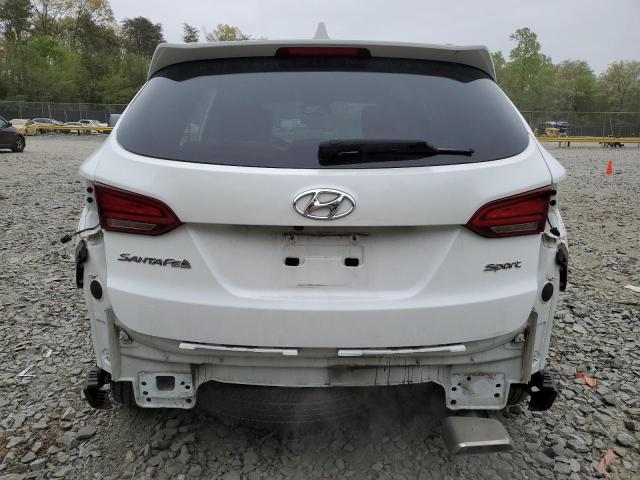 2017 HYUNDAI SANTA FE S - 5NMZU3LB1HH046636