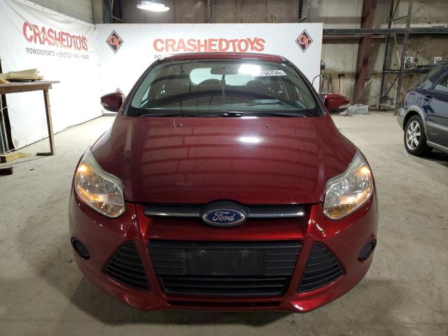 2013 Ford Focus Se VIN: 1FADP3K25DL339599 Lot: 49766704