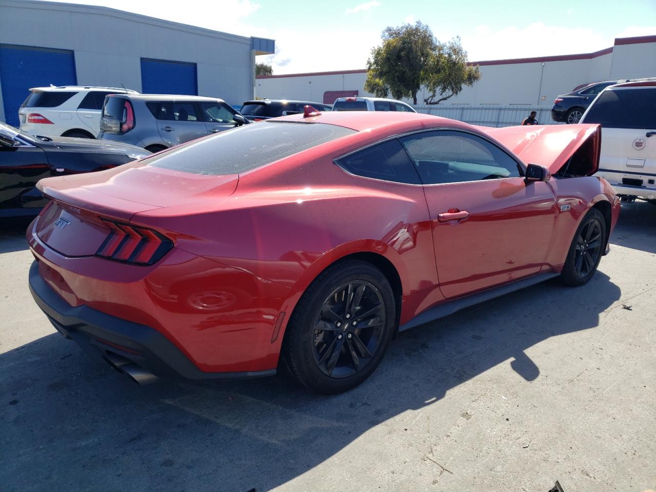 2024 Ford Mustang Gt vin: 1FA6P8CF8R5411947