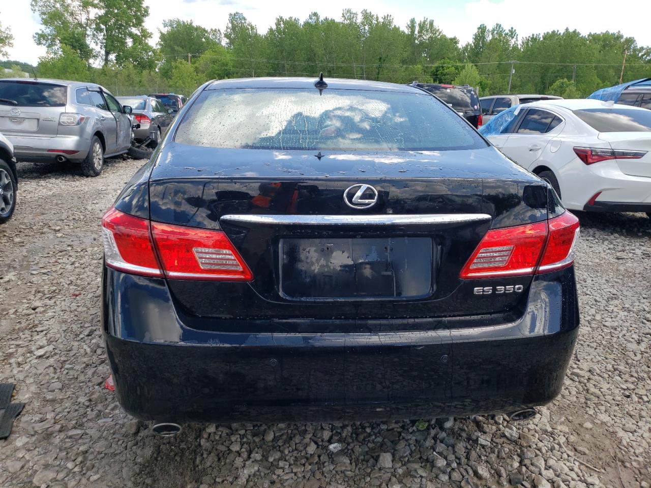 Lot #2741573355 2011 LEXUS ES 350