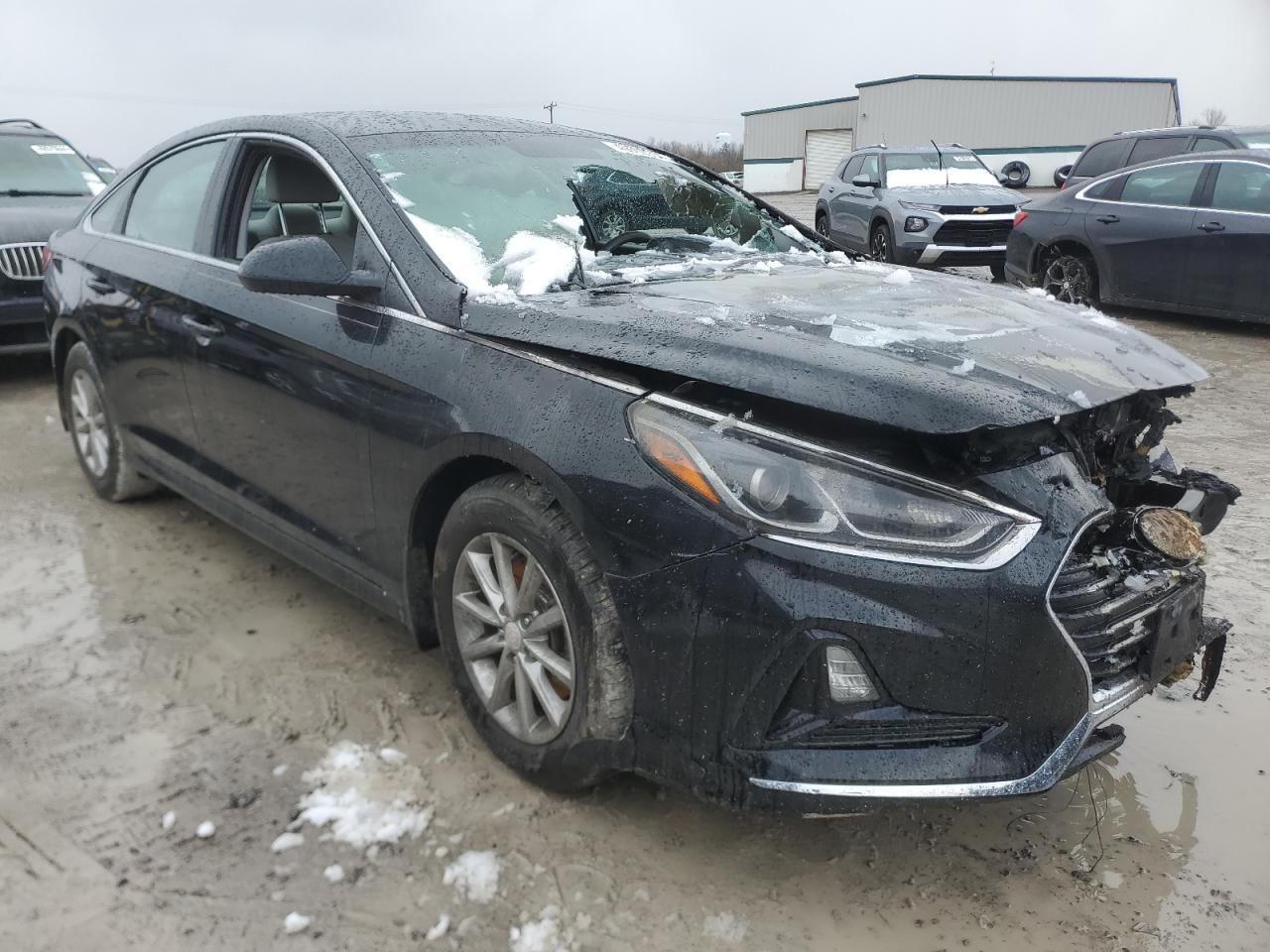 5NPE24AF4JH695100 2018 Hyundai Sonata Se