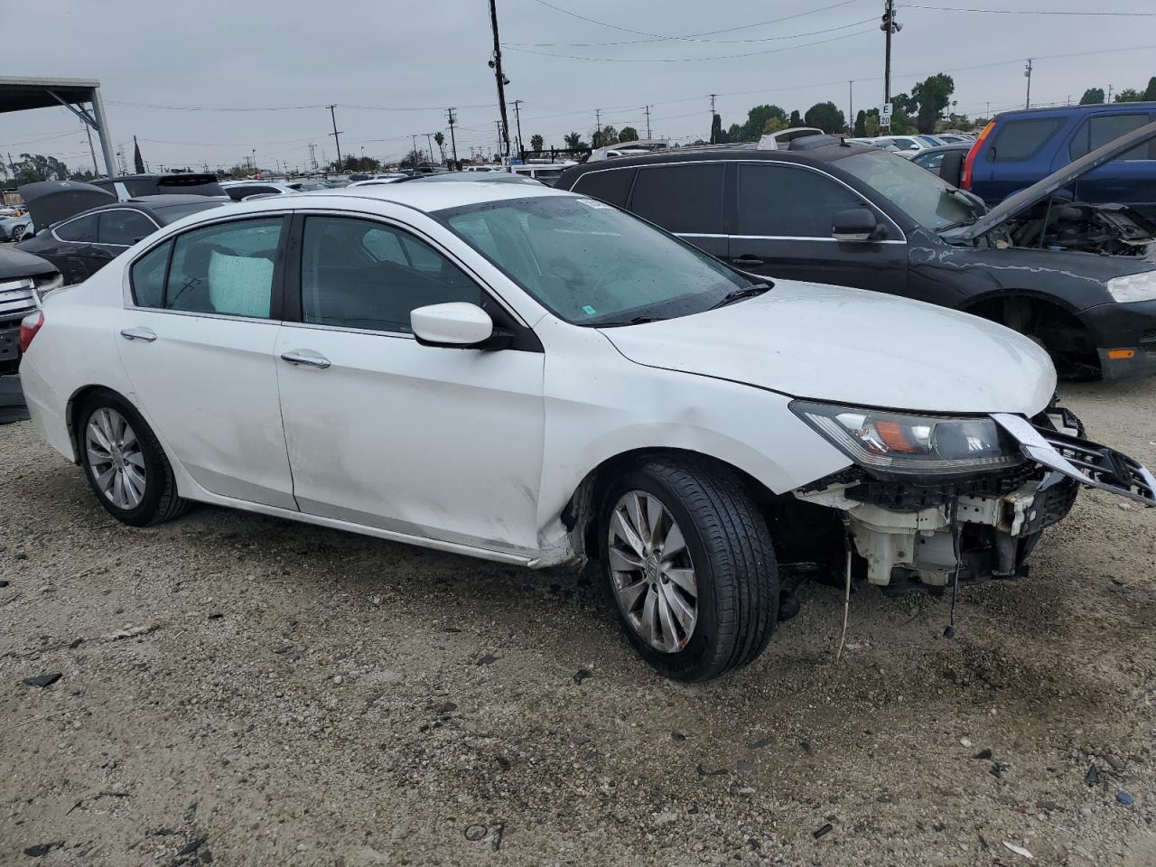 Lot #2487010882 2015 HONDA ACCORD SPO