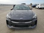 KIA STINGER photo