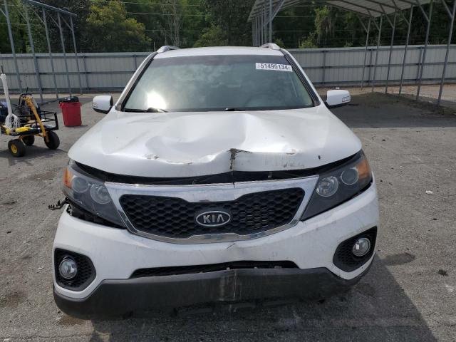 2013 Kia Sorento Lx VIN: 5XYKT3A6XDG415170 Lot: 51495134