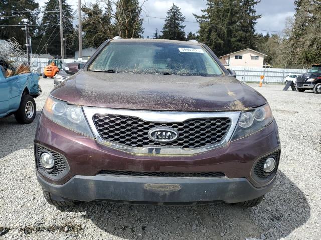 2013 Kia Sorento Lx VIN: 5XYKT3A61DG398999 Lot: 50969014