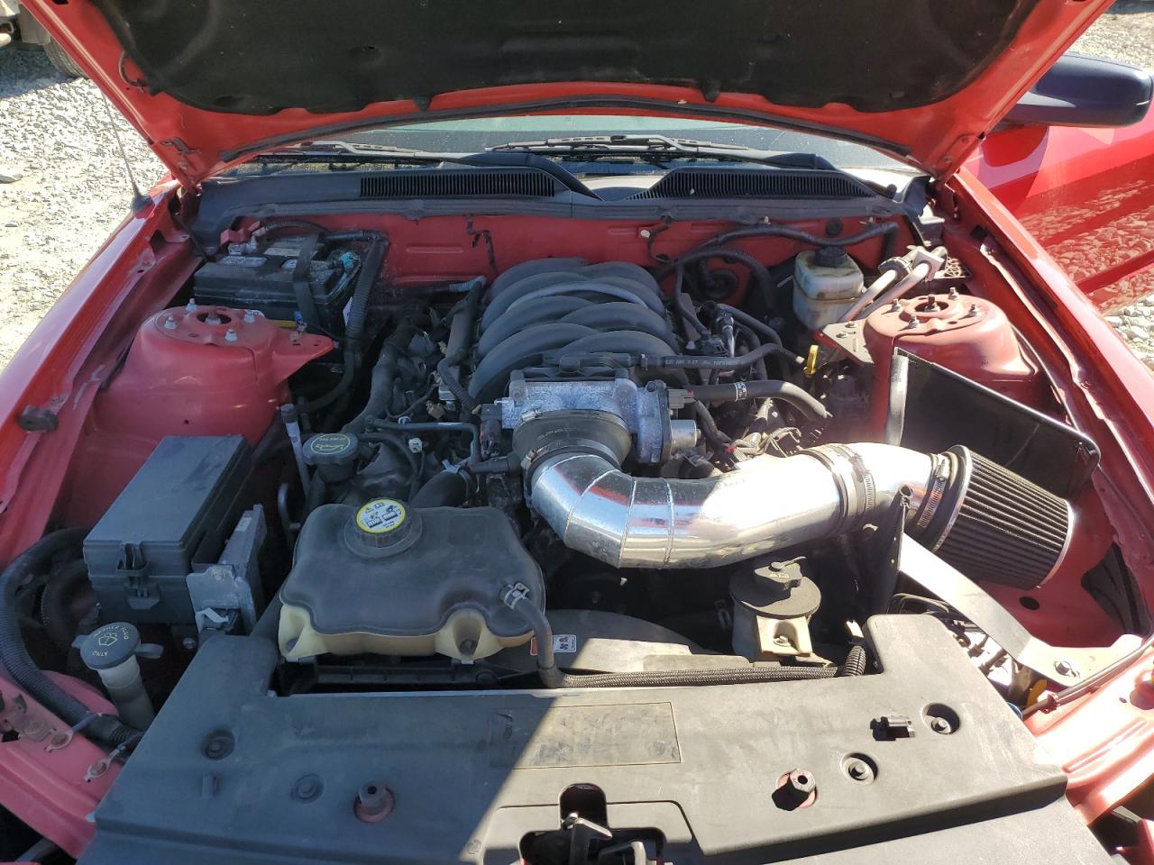 1ZVFT85H565130668 2006 Ford Mustang Gt