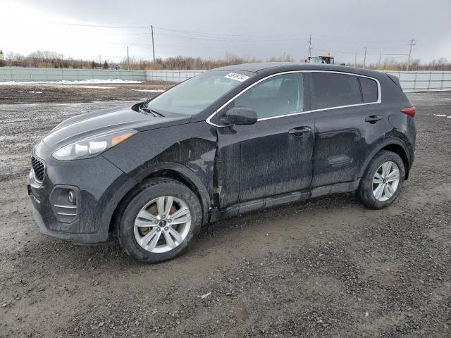 2019 Kia Sportage Lx VIN: KNDPM3AC2K7536035 Lot: 49939754