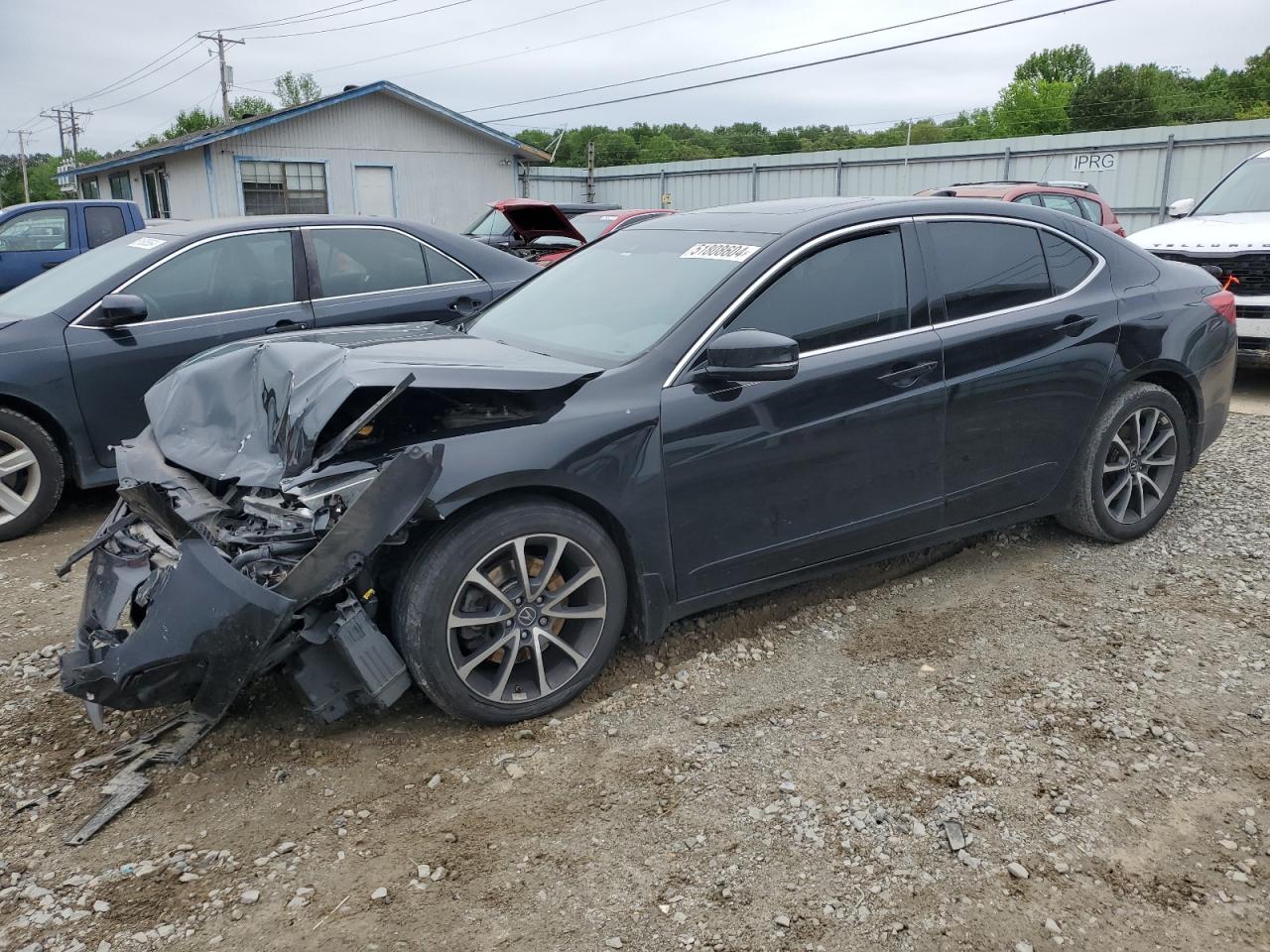 19UUB2F59GA010462 2016 Acura Tlx Tech