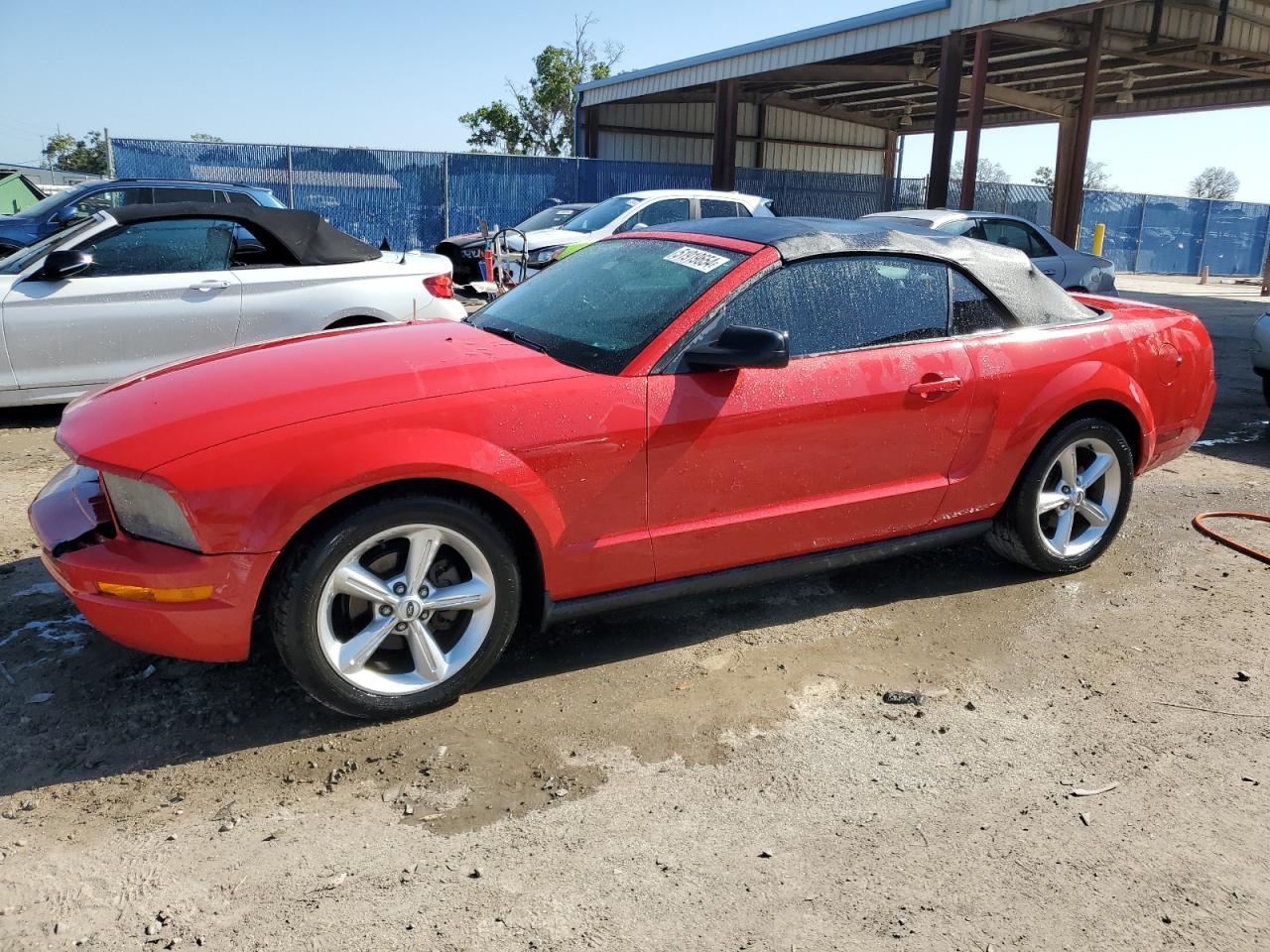 1ZVFT84N155260341 2005 Ford Mustang