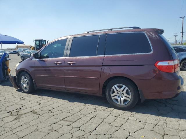 2007 Honda Odyssey Ex VIN: 5FNRL38407B033423 Lot: 50713104