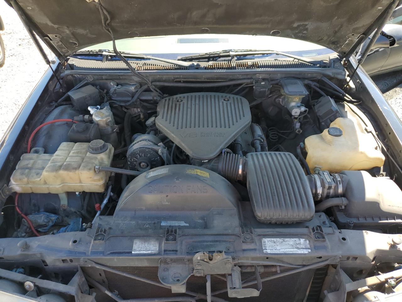 1g1bl52p5tr123356 1G1BL52P5TR123356 1996 Chevrolet Caprice / Impala Classic Ss