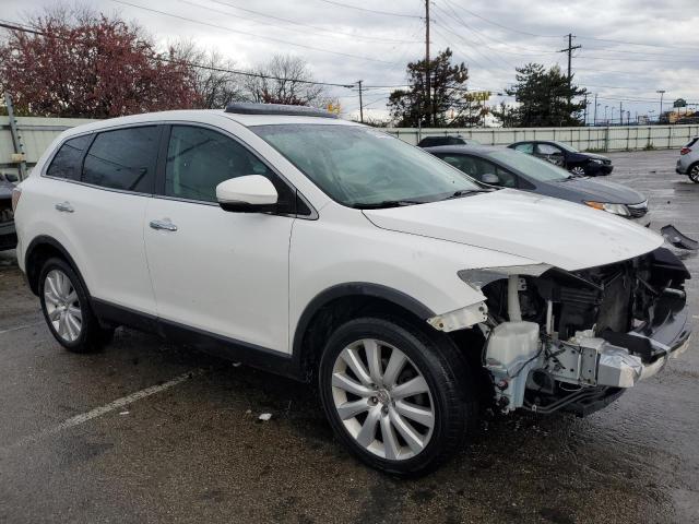 2010 Mazda Cx-9 VIN: JM3TB3MA5A0201705 Lot: 49194484