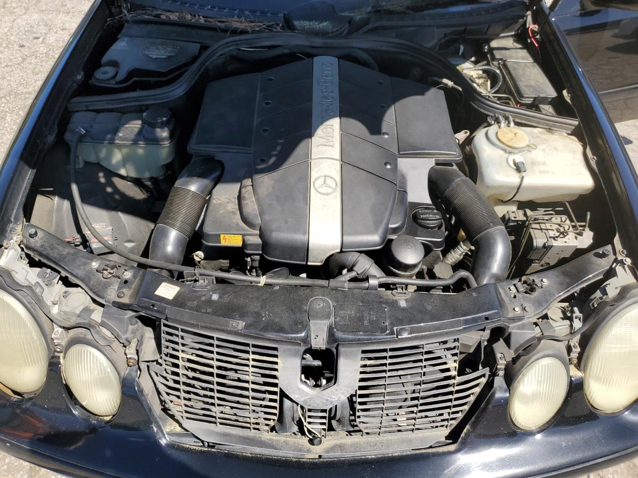 WDBLJ70G2XF056298 1999 Mercedes-Benz Clk 430