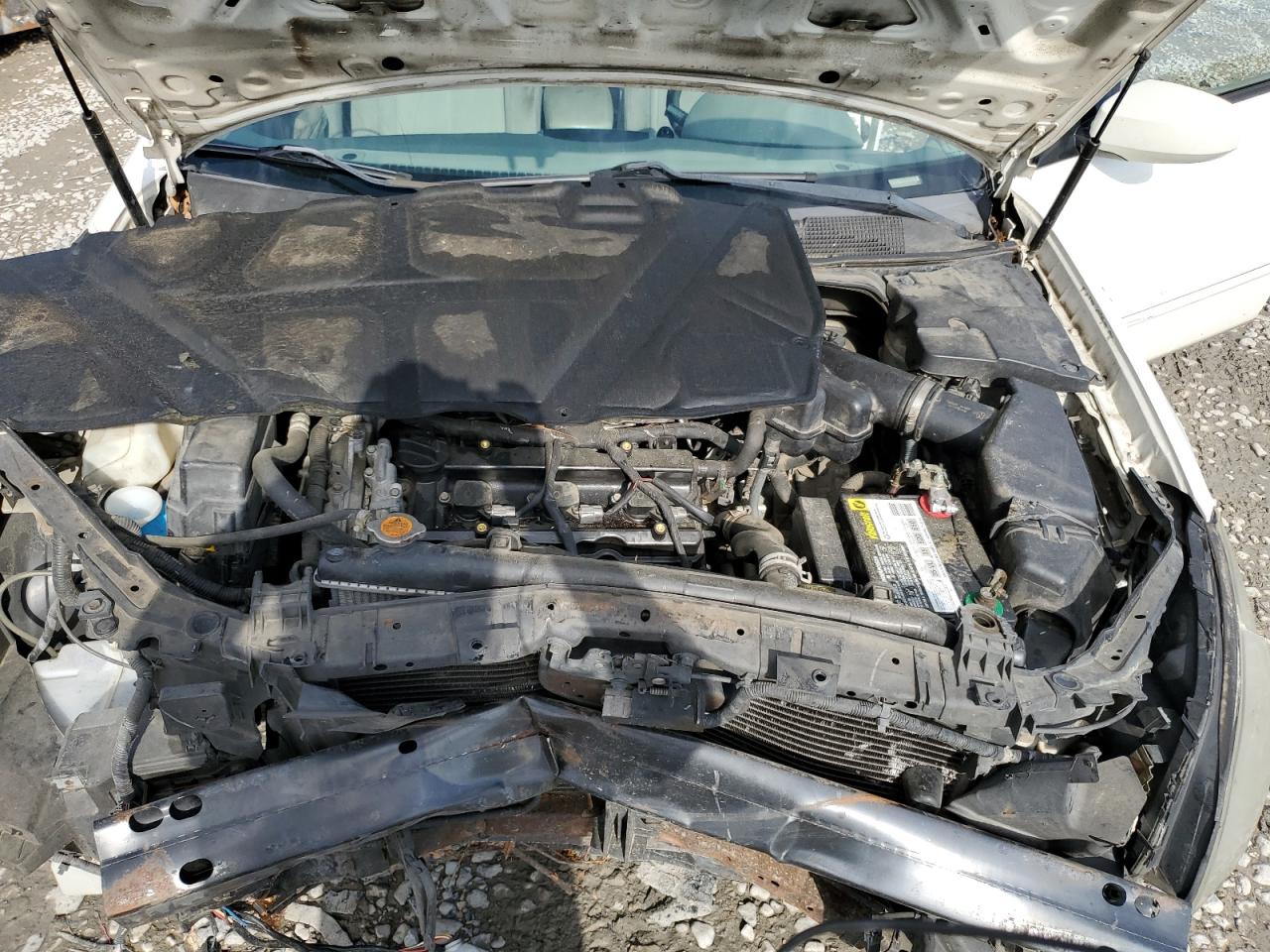 1N4BA41E48C835137 2008 Nissan Maxima Se