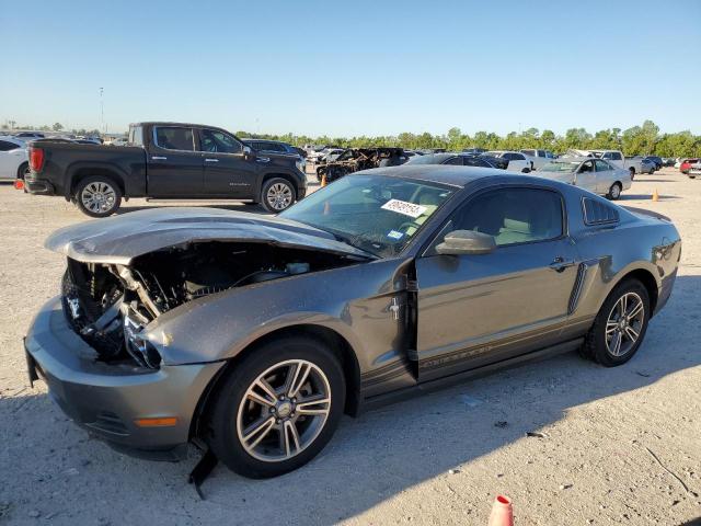 Lot #2461874255 2010 FORD MUSTANG salvage car