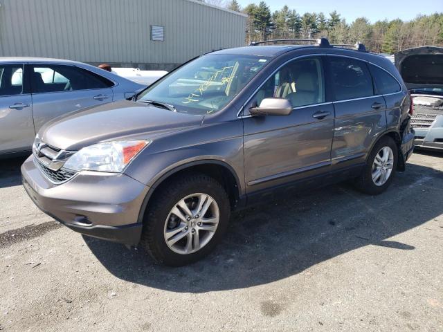 2010 Honda Cr-V Exl VIN: 5J6RE4H79AL049743 Lot: 49788774