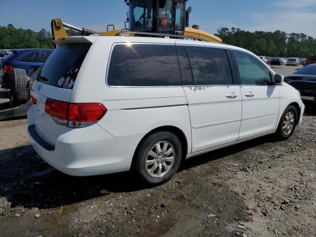2009 Honda Odyssey Exl VIN: 5FNRL38709B411141 Lot: 51200734
