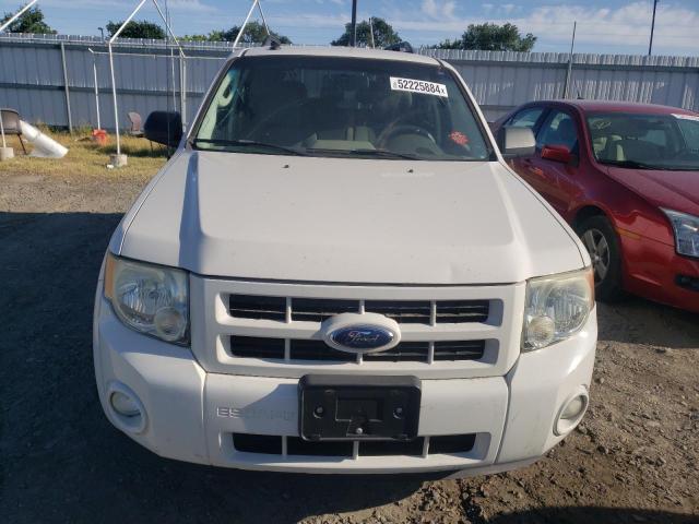 Lot #2503488841 2009 FORD ESCAPE HYB salvage car
