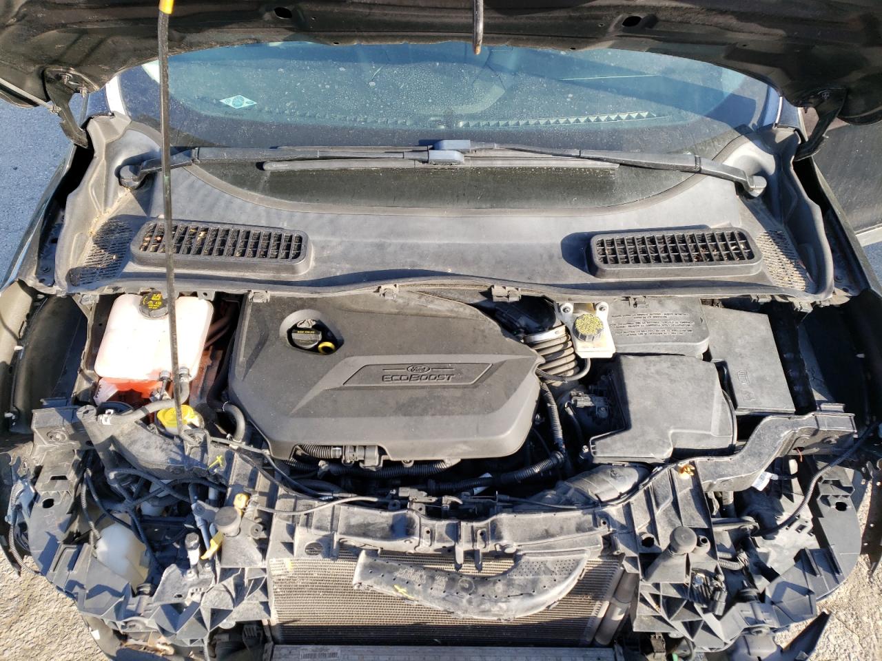 1FMCU0GX8DUD32539 2013 Ford Escape Se