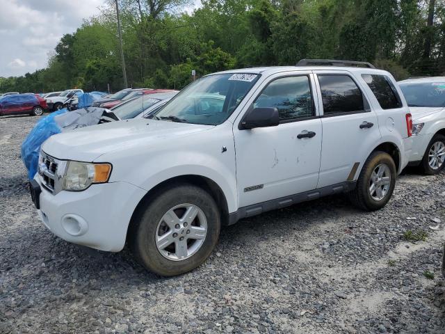Lot #2478086797 2008 FORD ESCAPE HEV salvage car