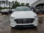 Lot #2986629240 2020 HYUNDAI SONATA SE