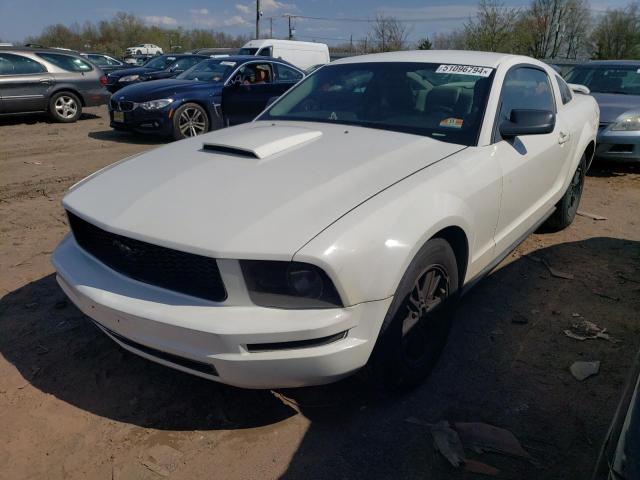 Lot #2475390482 2006 FORD MUSTANG salvage car